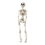 Hanging Skeleton 29Cm