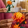 LEGO Botanicals 10368, Krysantemum