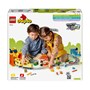 LEGO DUPLO Town 10428, Stort, interaktivt lokaltog