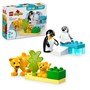 LEGO DUPLO Town 10442, Villdyrfamilier: Pingviner og løver