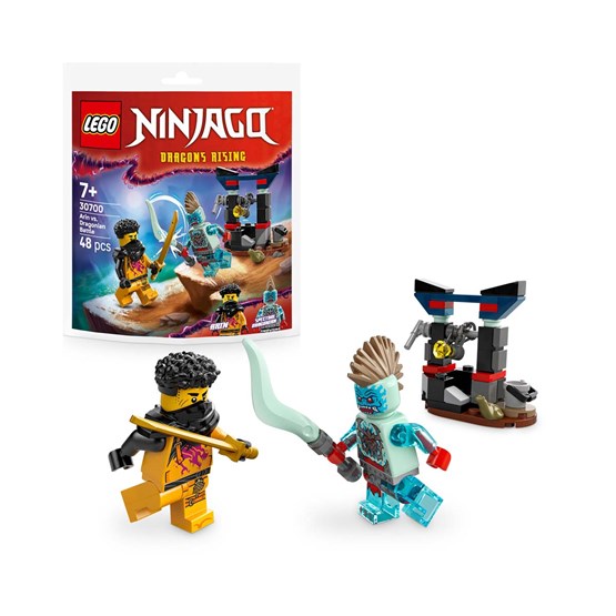 LEGO Recruitment Bags 30700, Kamp mellom Arin og en dragon