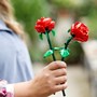 LEGO Botanicals 40460, Roser