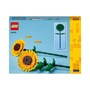 LEGO Icons 40524, Solsikker