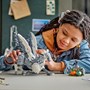 LEGO Harry Potter 76427, Bukknebb