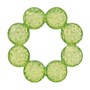 Infantino, Water Teether, Green