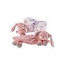 Sweeties- Giftbox Kanin Lee