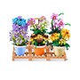 Zuru Max, Garden Pot Plants Series 1 15PCS PDQ