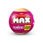 Zuru Max, Garden Long Flowers Series 1 15PCS PDQ