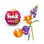 Zuru Max, Garden Long Flowers Series 1 15PCS PDQ