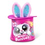Pets Alive, Magic Bunny Surprise S1