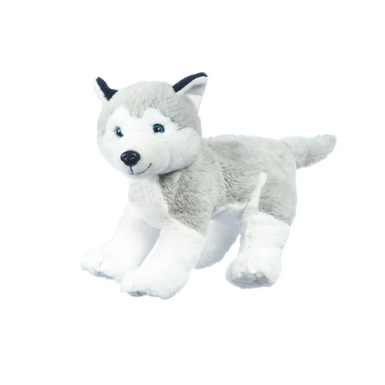 Plysjdyr, Husky Hund