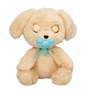 Baby Paws, Labrador 22,5 Cm