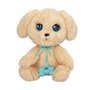 Baby Paws, Labrador 22,5 Cm