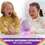 Hatchimals Alive Secret Hatch Pandoo Asst.