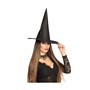 WITCH HAT adults size